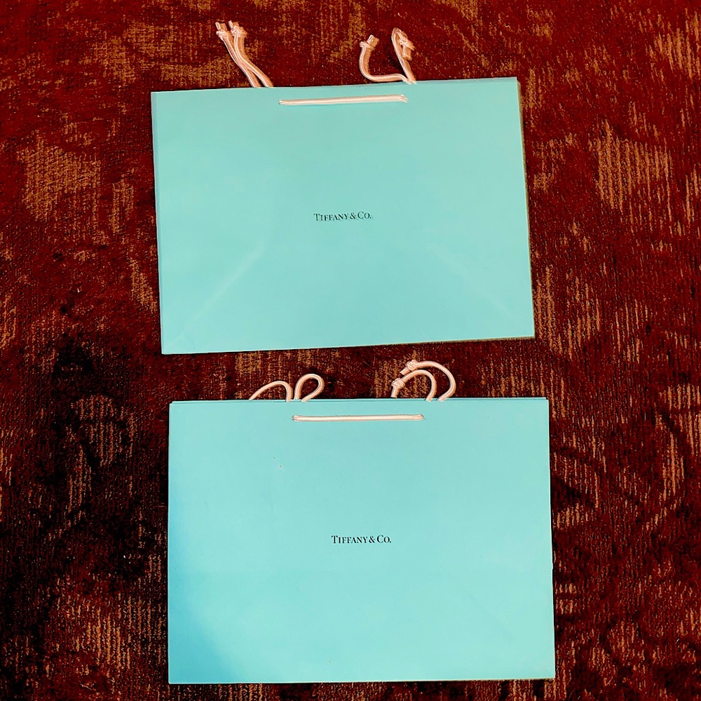Tiffany and Co. Medium Shopping Bag!